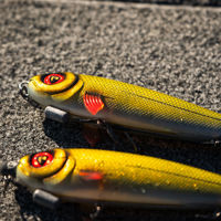 Fox Rage Super Slick Shads Loaded